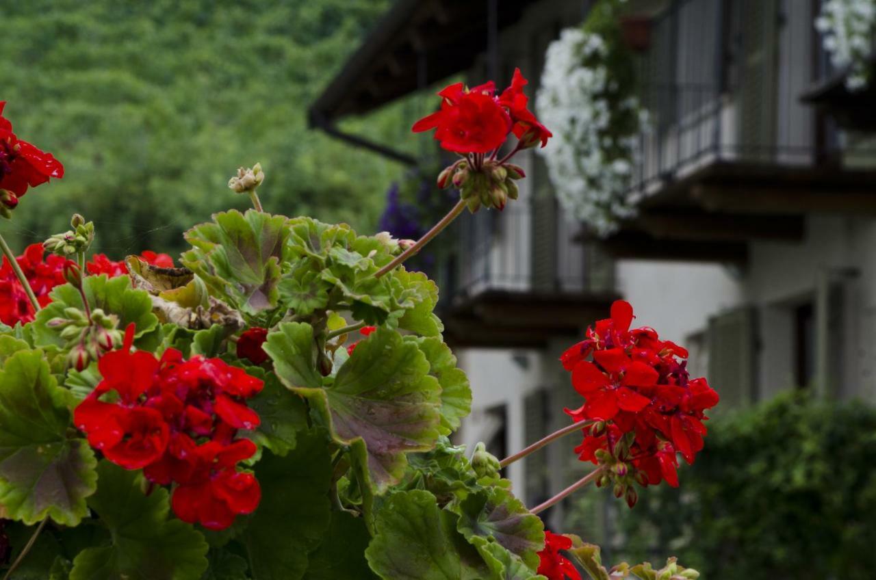 Ferienwohnung Sul Bric Dei Capalot La Morra Exterior foto